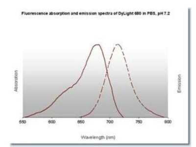 Fluorophore-linked immunosorbent assay: Rabbit anti-Mouse IgG3 Heavy Chain Secondary Antibody [DyLight 680] [NBP1-72911] - Fluorescence absorption and emission spectra of Dylight 680 in PBS, pH 7.2.